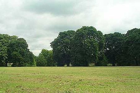 Coronation Recreation Ground Hersham