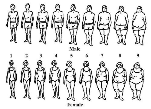 People Size Chart